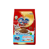 Thức Ăn Hạt Cho Mèo Trưởng Thành Silver Spoon Giảm Nôn Trớ 800g